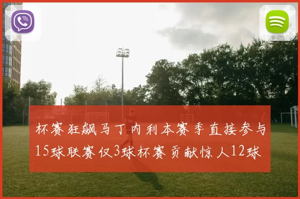 杯赛狂飙马丁内利本赛季直接参与15球联赛仅3球杯赛贡献惊人12球