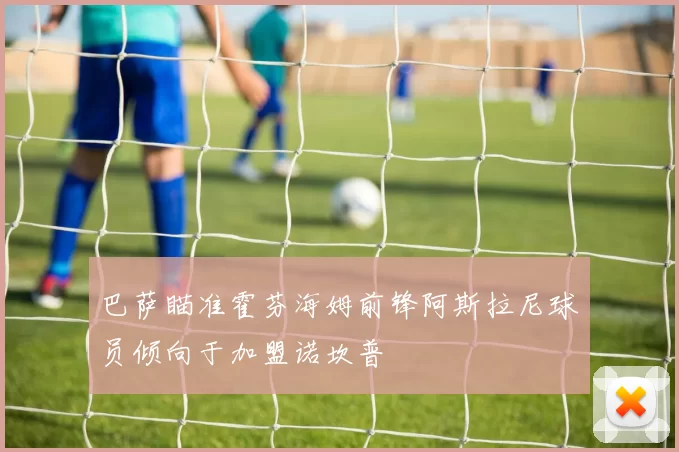 巴萨瞄准霍芬海姆前锋阿斯拉尼球员倾向于加盟诺坎普